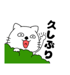 【毎日使える】ネコのねこ太16（個別スタンプ：33）