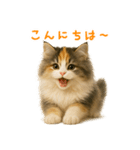 ふわふわ三毛猫の毎日使えるスタンプ（個別スタンプ：3）