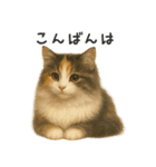 ふわふわ三毛猫の毎日使えるスタンプ（個別スタンプ：4）