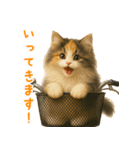 ふわふわ三毛猫の毎日使えるスタンプ（個別スタンプ：6）