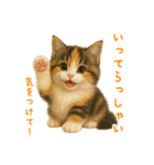 ふわふわ三毛猫の毎日使えるスタンプ（個別スタンプ：7）
