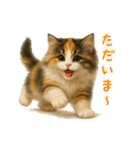 ふわふわ三毛猫の毎日使えるスタンプ（個別スタンプ：9）