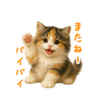 ふわふわ三毛猫の毎日使えるスタンプ（個別スタンプ：10）