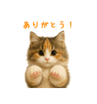 ふわふわ三毛猫の毎日使えるスタンプ（個別スタンプ：12）