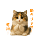 ふわふわ三毛猫の毎日使えるスタンプ（個別スタンプ：14）