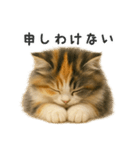 ふわふわ三毛猫の毎日使えるスタンプ（個別スタンプ：17）
