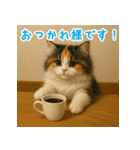 ふわふわ三毛猫の毎日使えるスタンプ（個別スタンプ：19）