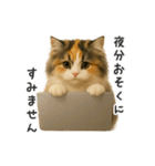 ふわふわ三毛猫の毎日使えるスタンプ（個別スタンプ：20）