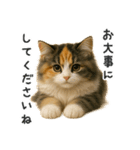 ふわふわ三毛猫の毎日使えるスタンプ（個別スタンプ：21）