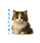 ふわふわ三毛猫の毎日使えるスタンプ（個別スタンプ：23）