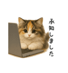 ふわふわ三毛猫の毎日使えるスタンプ（個別スタンプ：24）