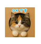 ふわふわ三毛猫の毎日使えるスタンプ（個別スタンプ：26）