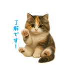 ふわふわ三毛猫の毎日使えるスタンプ（個別スタンプ：27）