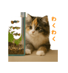 ふわふわ三毛猫の毎日使えるスタンプ（個別スタンプ：32）