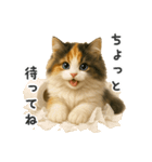 ふわふわ三毛猫の毎日使えるスタンプ（個別スタンプ：36）