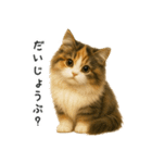 ふわふわ三毛猫の毎日使えるスタンプ（個別スタンプ：37）