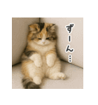 ふわふわ三毛猫の毎日使えるスタンプ（個別スタンプ：39）