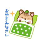 飛び出す！ シマリスのシマさんのスタンプ（個別スタンプ：2）