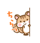 飛び出す！ シマリスのシマさんのスタンプ（個別スタンプ：16）