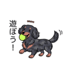 名前入りダックスロングシルバーダップル（個別スタンプ：1）