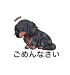 名前入りダックスロングシルバーダップル（個別スタンプ：2）
