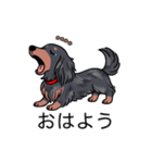 名前入りダックスロングシルバーダップル（個別スタンプ：3）