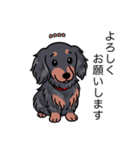 名前入りダックスロングシルバーダップル（個別スタンプ：4）