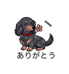 名前入りダックスロングシルバーダップル（個別スタンプ：5）
