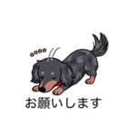 名前入りダックスロングシルバーダップル（個別スタンプ：7）