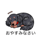 名前入りダックスロングシルバーダップル（個別スタンプ：9）