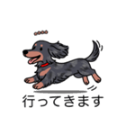 名前入りダックスロングシルバーダップル（個別スタンプ：13）