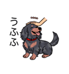 名前入りダックスロングシルバーダップル（個別スタンプ：19）