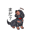 名前入りダックスロングシルバーダップル（個別スタンプ：20）