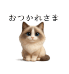 毎日3Dにゃんこ（個別スタンプ：14）