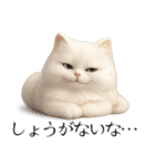 毎日3Dにゃんこ（個別スタンプ：16）