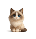 毎日3Dにゃんこ（個別スタンプ：34）