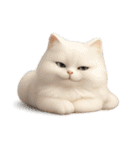 毎日3Dにゃんこ（個別スタンプ：36）