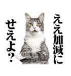 関西弁にゃんとも！猫ミーム（個別スタンプ：31）