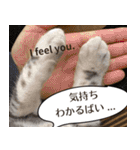 長崎弁×English ゆるトークスタンプ vol.1（個別スタンプ：3）
