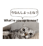 長崎弁×English ゆるトークスタンプ vol.1（個別スタンプ：4）