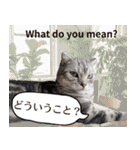 長崎弁×English ゆるトークスタンプ vol.1（個別スタンプ：6）