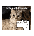 長崎弁×English ゆるトークスタンプ vol.1（個別スタンプ：7）
