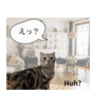長崎弁×English ゆるトークスタンプ vol.1（個別スタンプ：9）