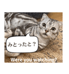 長崎弁×English ゆるトークスタンプ vol.1（個別スタンプ：10）