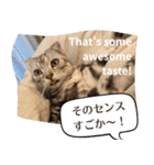 長崎弁×English ゆるトークスタンプ vol.1（個別スタンプ：11）