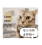 長崎弁×English ゆるトークスタンプ vol.1（個別スタンプ：12）