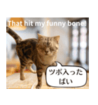 長崎弁×English ゆるトークスタンプ vol.1（個別スタンプ：13）