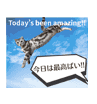 長崎弁×English ゆるトークスタンプ vol.1（個別スタンプ：15）