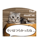 長崎弁×English ゆるトークスタンプ vol.1（個別スタンプ：16）