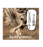 長崎弁×English ゆるトークスタンプ vol.1（個別スタンプ：17）